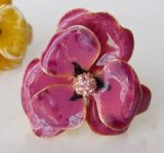 KJL パンジーリング