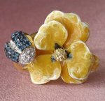 KJL パンジーリング