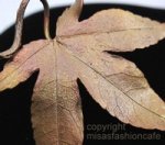 Michaud ブローチ もみじ