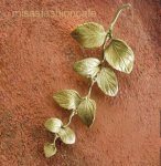 マイケルミショー ブローチ ペパーミント