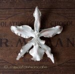 マイケルミショー ブローチ 　蘭ランの花