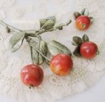 Michaud ブローチ 野りんご　再販！