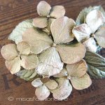 マイケルミショー　再販！ あじさい　ブローチ