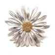 （画像用） デイジーお花ブローチ