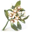 （画像用） フラワーブーケ　ブローチ 真珠　オレンジの花