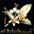 （画像用） マイケルミショーブローチ オレンジの花　真珠
