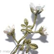 （画像用） 真珠　ローズのお花 ボタニカルブローチ