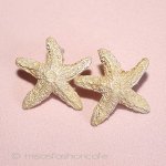 マイケル・ミショー　ピアス 24Kgpゴールド　ヒトデ