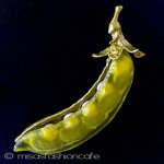 えんどう豆　ブローチ 真珠　さやえんどう