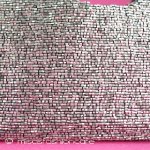 ＭＯＹＮＡモイナ　再販！ メタリックシルバー