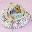 （画像用） ＳＡＮＴＩサンティ　バッグ パール・パーティー再販