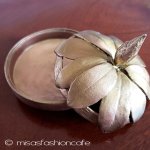 マイケルミショー　つつじ フォーシーズン　容器