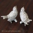 （画像用） 鳥・うぐいす 塩コショウ　セット