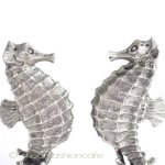 タツノオトシゴ 塩コショウ　セット