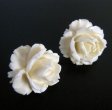 （画像用） 本象牙アイボリー12K 豪華ローズイヤリング