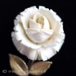 （画像用） 象牙アイボリー　14Kgf ローズ花　ブローチ