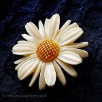 デイジーの花ブローチ 本象牙 アイボリー デイジーの花ブローチ 本象牙 アイボリー