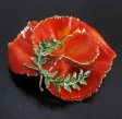 （画像用） Original By Robert　 ポピー　ブローチ