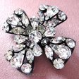 （画像用） Regencyリージェンシー クリスタルブローチ