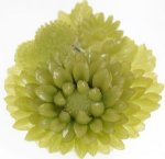 フラワー　カメオ　 セルロイド　ブローチ