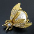 （画像用） バロックパール てんとう虫ブローチ