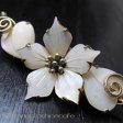 （画像用） 天然MOパール花ブローチ