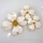 ハナミズキの花　セット