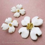 ハナミズキの花　セット