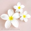 （画像用） ハワイのお花　 プルメリア　セット
