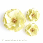 Trifariトリファリ セット カーネーションのお花