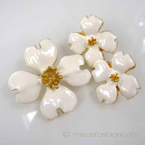 （画像用） ハナミズキの花　セット