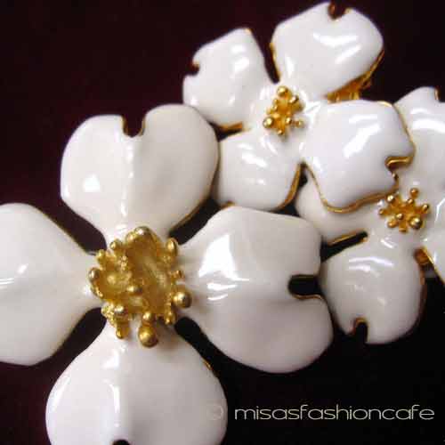 （画像用） ハナミズキの花　セット