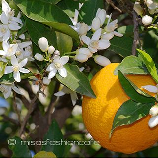 マイケルミショー 再販！ オレンジの花　真珠