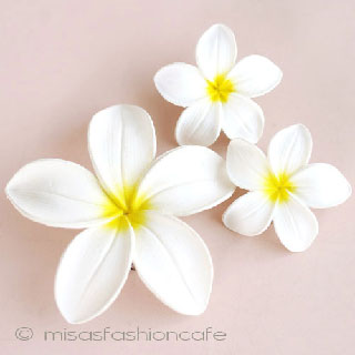 ハワイのお花　 プルメリア　セット