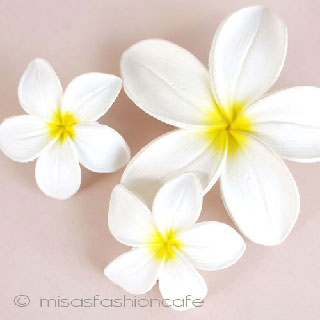ハワイのお花　 プルメリア　セット